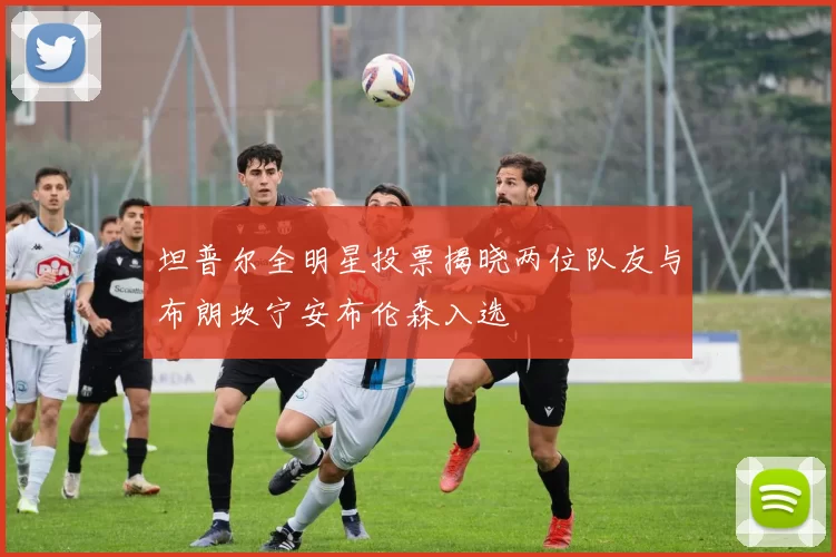 坦普尔全明星投票揭晓两位队友与布朗坎宁安布伦森入选